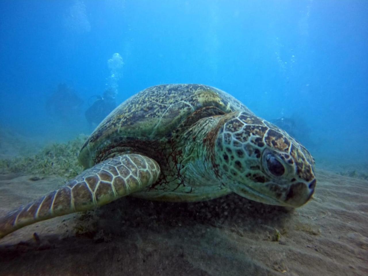 Alam B&B Marsa Alam Luaran gambar